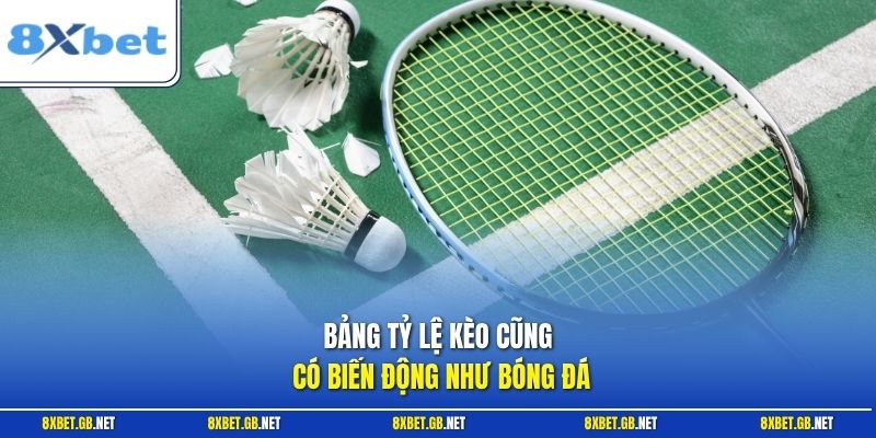 Cầu Lông - Bí Quyết Đọc Kèo Chuyên Sâu Từ Trước Trận Đấu 2 Bảng tỷ lệ kèo cũng có biến động như bóng đá