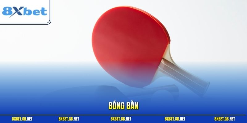 Bóng Bàn - Mở Cẩm Nang Kiến Thức Soi Kèo Với Hội Viên 8XBET