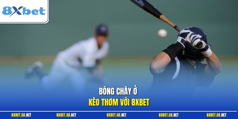 Bóng Chày - Phân Tích Thực Chiến Nhận Định Kèo Hôm Nay 1 Bóng chày ở kèo thơm với 8XBET