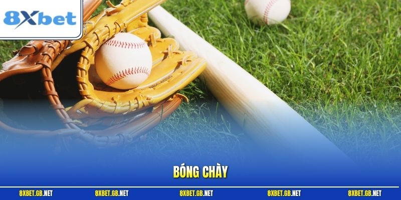 Bóng Chày - Cách Đọc Kèo Từ A Đến Z Cùng Với Nhà Cái 8XBET