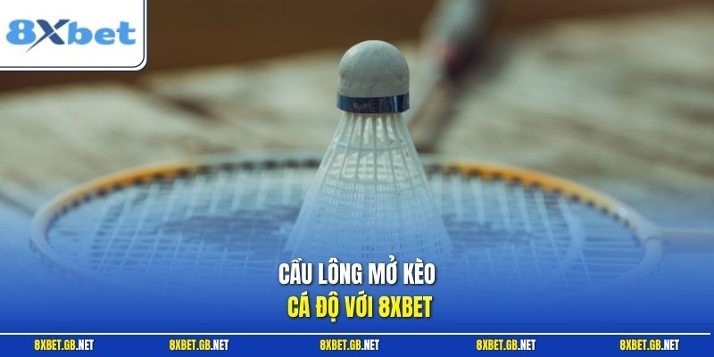 Cầu Lông - Bí Quyết Đọc Kèo Chuyên Sâu Từ Trước Trận Đấu 1 Cầu lông mở kèo cá độ với 8XBET