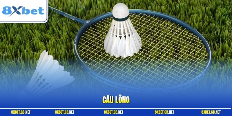 Cầu Lông - Chuyên Gia 8XBET Chỉ Cách Soi Kèo Chuẩn An Toàn