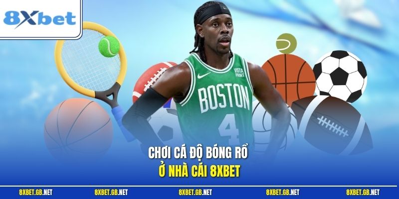 Bóng Rổ - Cẩm Nang Bắt Kèo Hiệu Quả Từ Thống Kê Dữ Liệu 1 Chơi cá độ bóng rổ ở nhà cái 8XBET