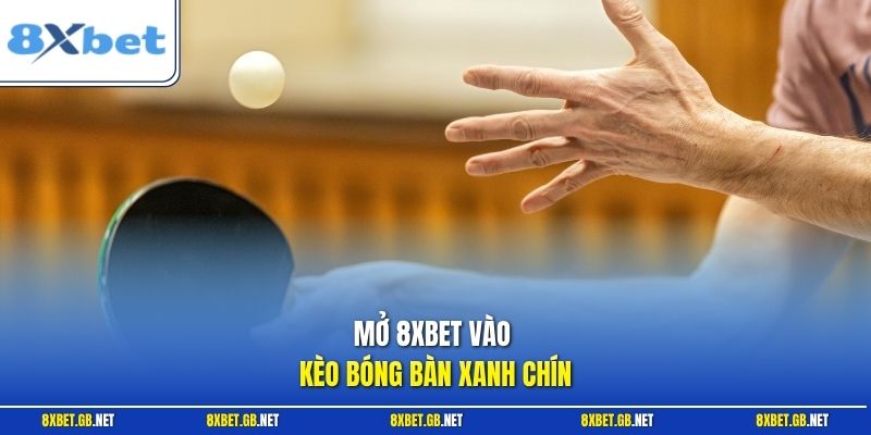 Mở 8XBET vào kèo bóng bàn xanh chín