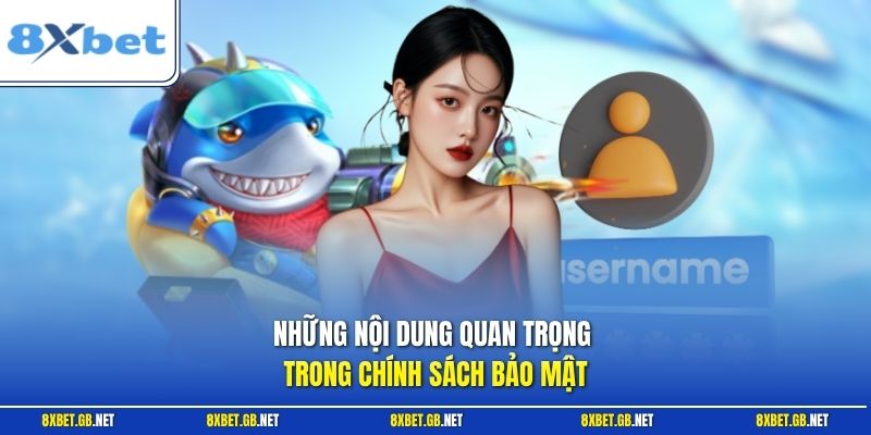 Những nội dung quan trọng trong chính sách bảo mật