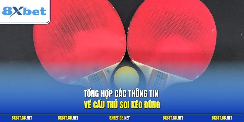 Tổng hợp các thông tin về cầu thủ soi kèo đúng