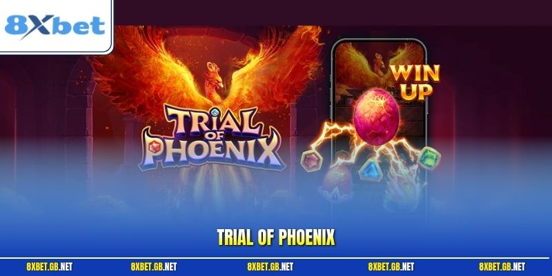 Trial Of Phoenix Ở 8XBET - Cách Chơi Nổ Hũ Phượng Hoàng Hay